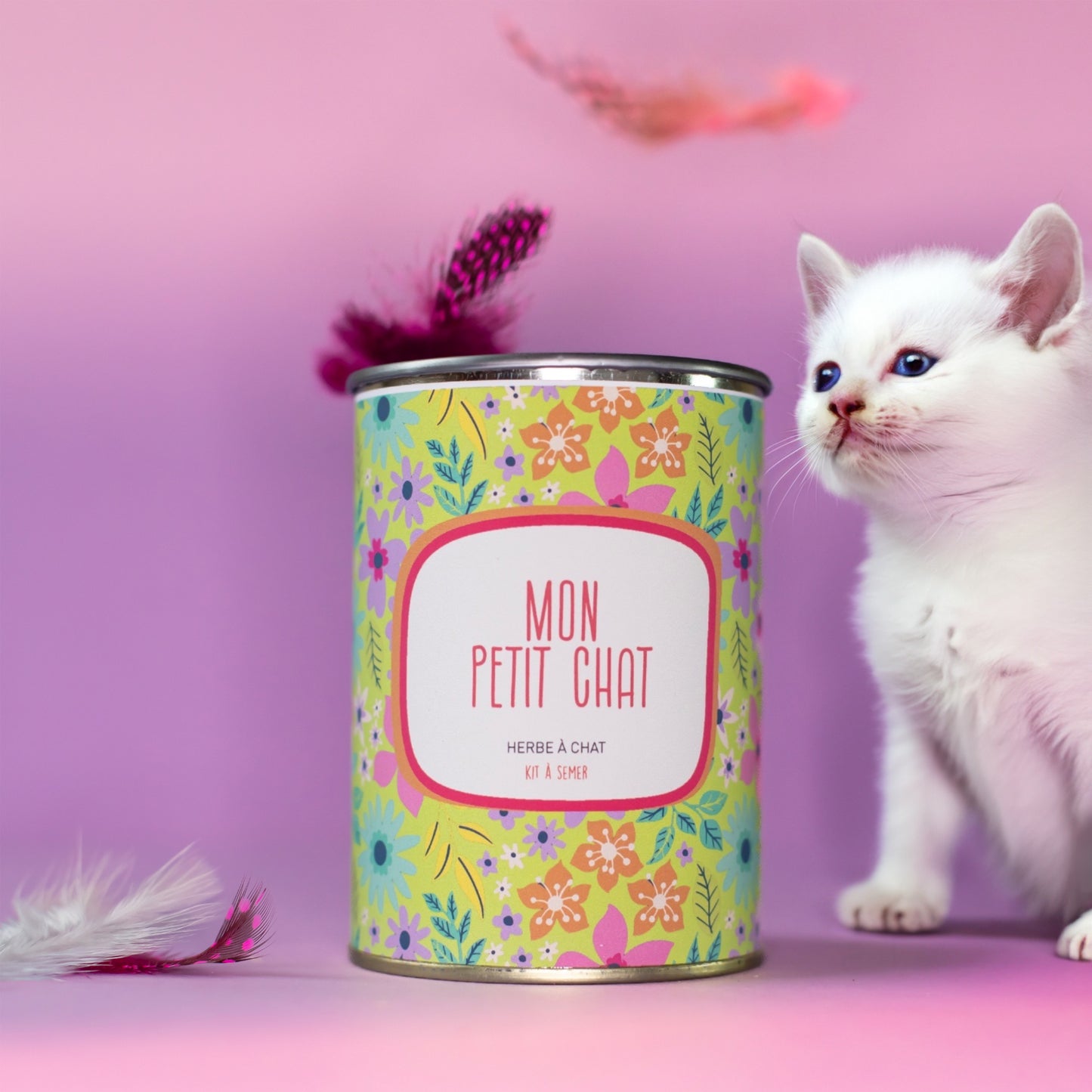 Kit à semer "Mon petit chat" fabriqué en france