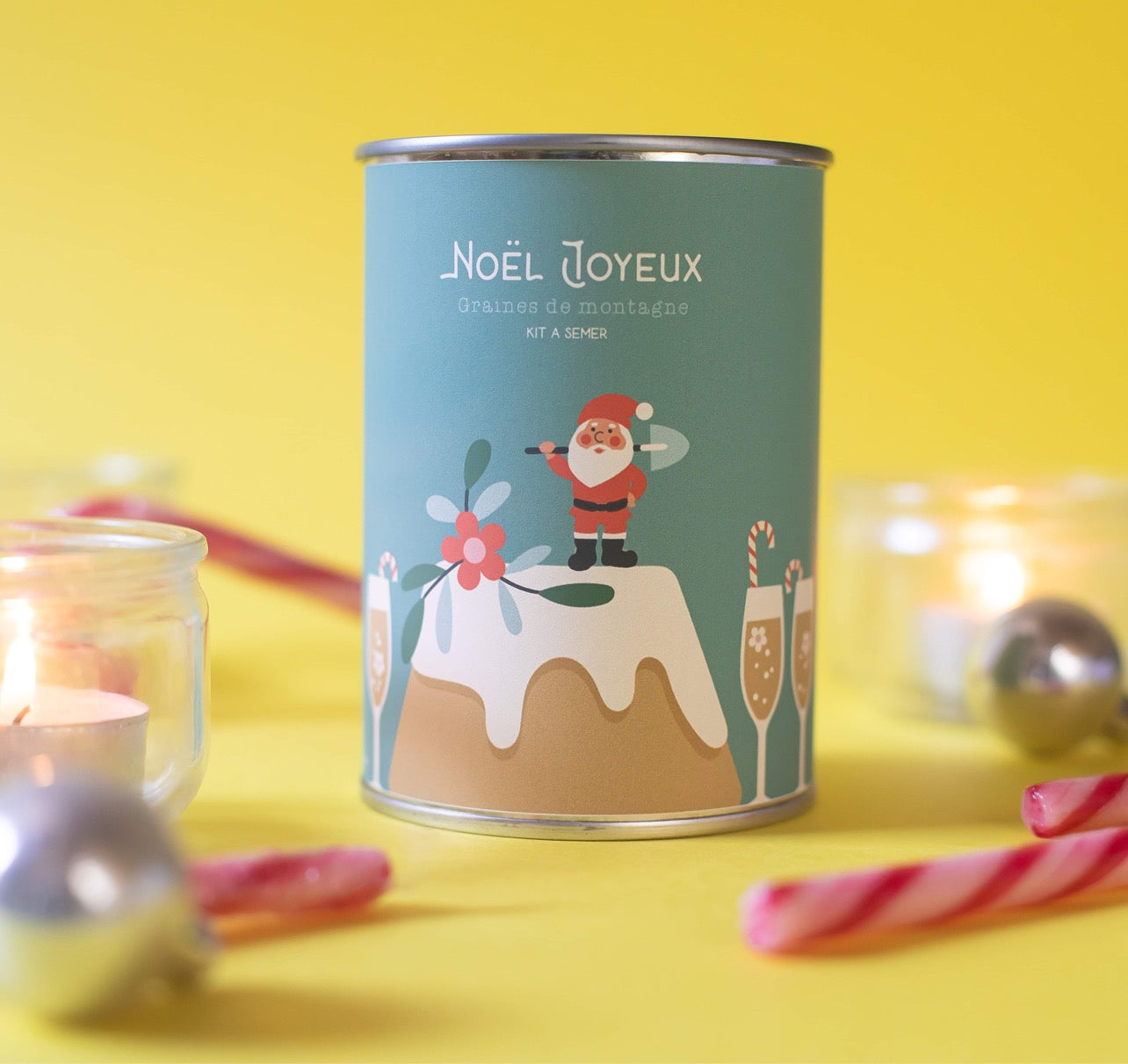 Copie de Kit à semer  "Noël Joyeux" MauvaisesGraines