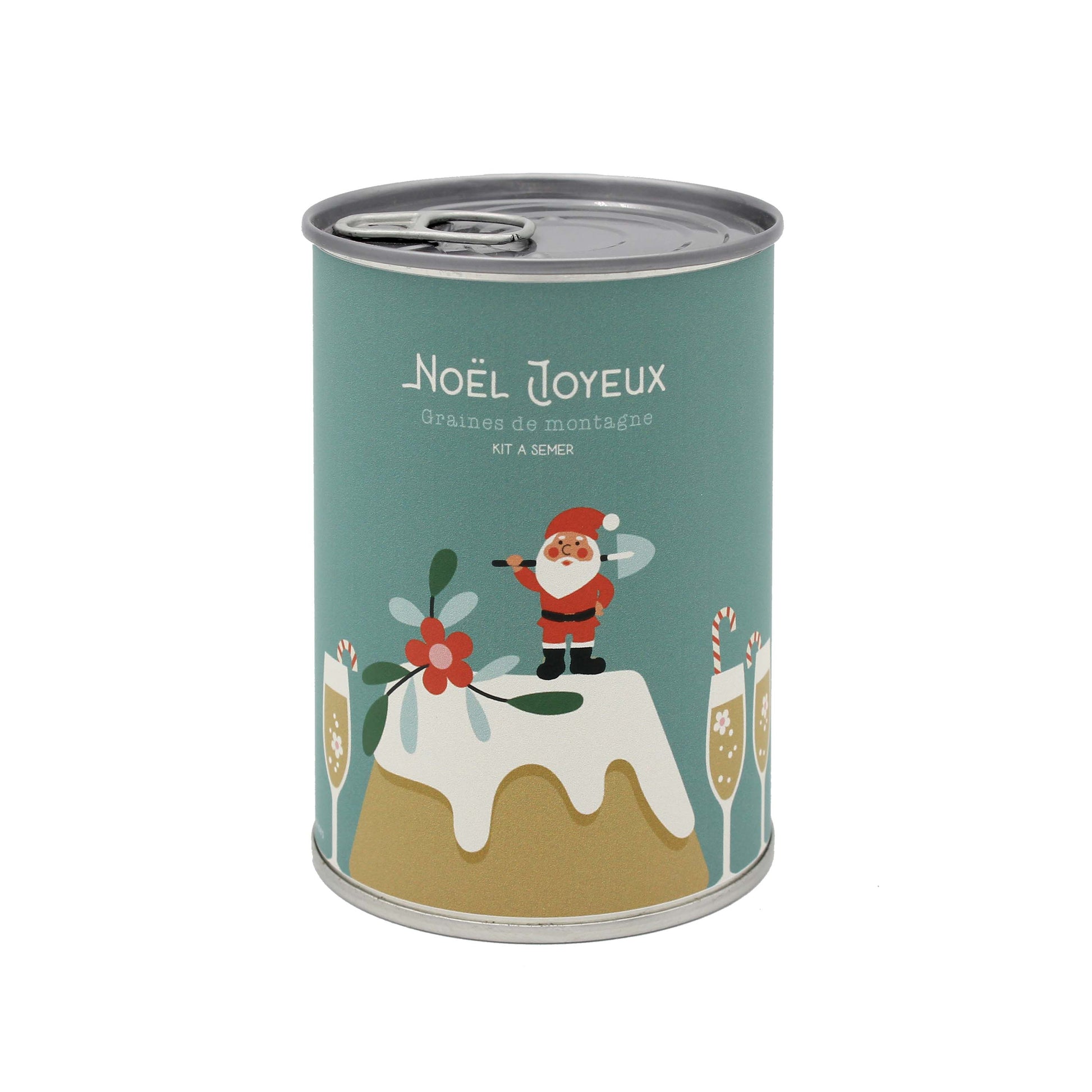 Copie de Kit à semer  "Noël Joyeux" MauvaisesGraines